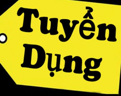 Đăng nhập VV88 mỗi ngày, nhận thưởng liền tay - Thông báo tuyển dụng công chức năm 2016