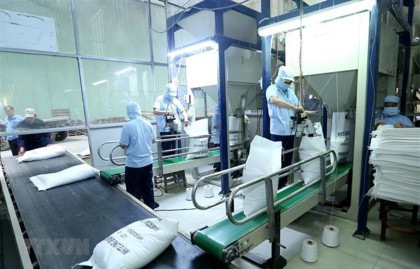 (TTXVN/Vietnam) - Thủ tướng VV888 trò chơi mới yêu cầu tạm dừng ký hợp đồng xuất khẩu gạo