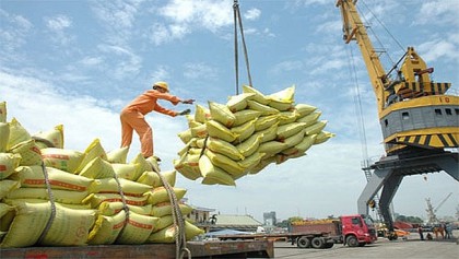 Chuẩn bị điều kiện cần thiết tận dụng cơ hội xuất khẩu khi EVFTA có hiệu lực