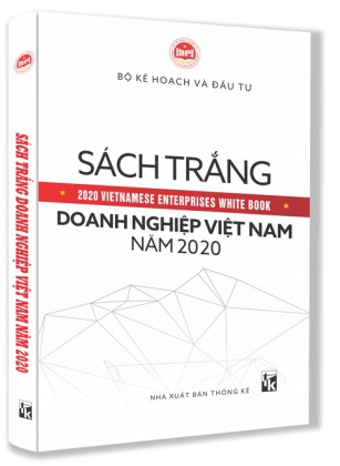 doanh nghiep viet nam nam 2019 buc tranh toan canh[1]