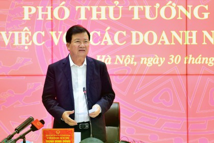 Giảm giá thịt lợn là trách nhiệm về mặt kinh tế và đạo đức đối với người dân