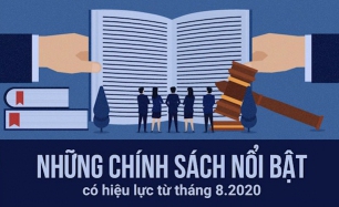 Những chính sách nổi bật có hiệu lực từ tháng 8-2020