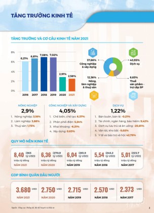 Inforgraphic Thông tin kinh tế-xã hội chủ yếu cả nước năm 2021