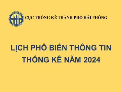 Lịch phổ biến thông tin thống kê năm 2024