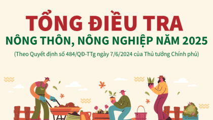 INFOGRAPHIC: Tổng điều tra nông thôn, nông nghiệp năm 2025