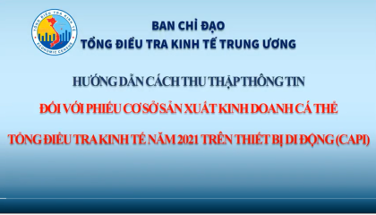 Video hướng dẫn phần mềm thu thập thông tin khối Cá thể bằng CAPI Tổng điều tra kinh tế 2021